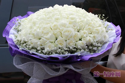 白玫瑰花语