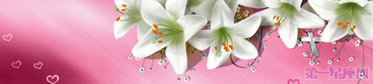 百合花送几朵好？送百合花朵数的含义解析