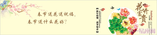 春节送花送祝福,春节送什么花好？