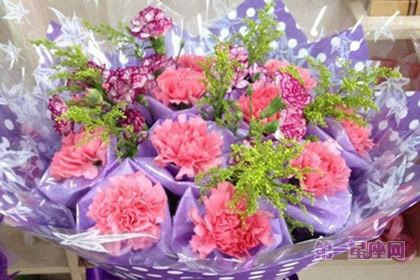 康乃馨花语