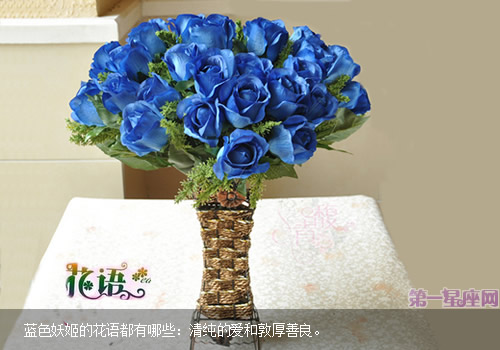 蓝色妖姬的花语都有哪些？