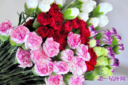 代表感恩的花语？什么花代表感恩！